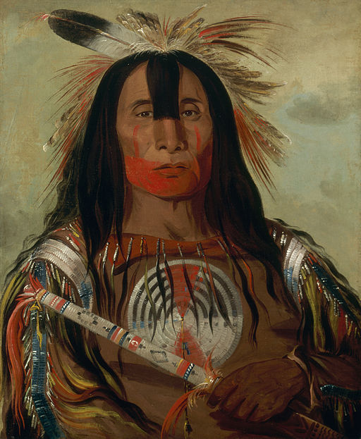 George_Catlin_-<em>Buffalo_Bulls_Back_Fat</em>-_Smithsonian