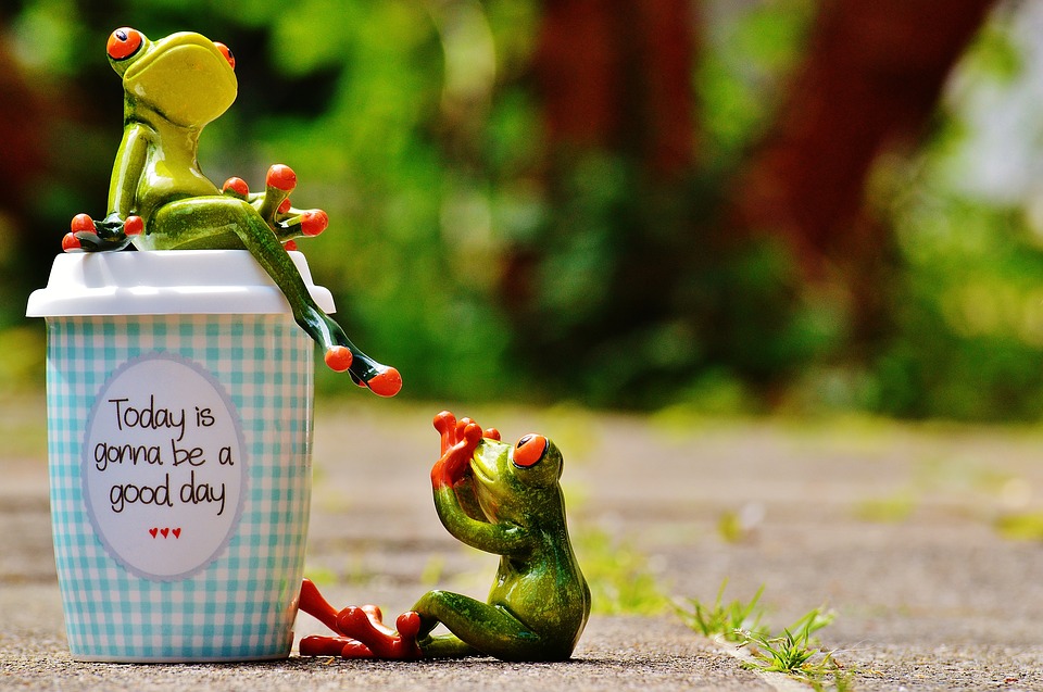Happiness Coffee Beautiful Day Frog Cup Happy Joy