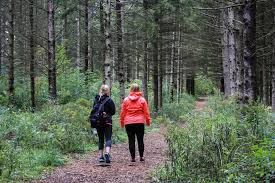 ArticlesCompanionWalking